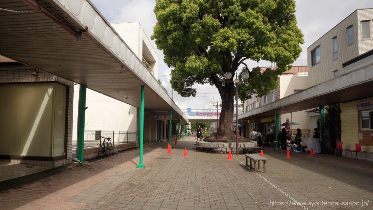 ロケをしている様子