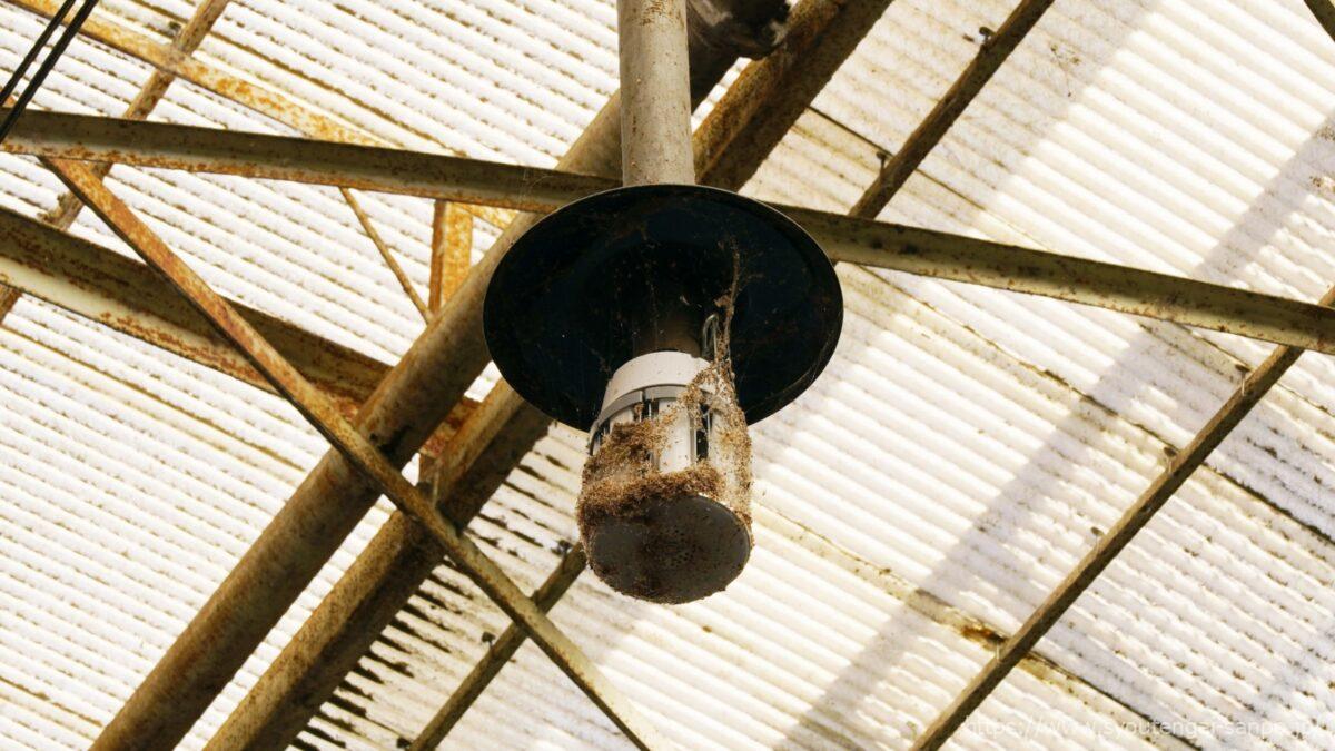 蜘蛛の巣がかった電灯