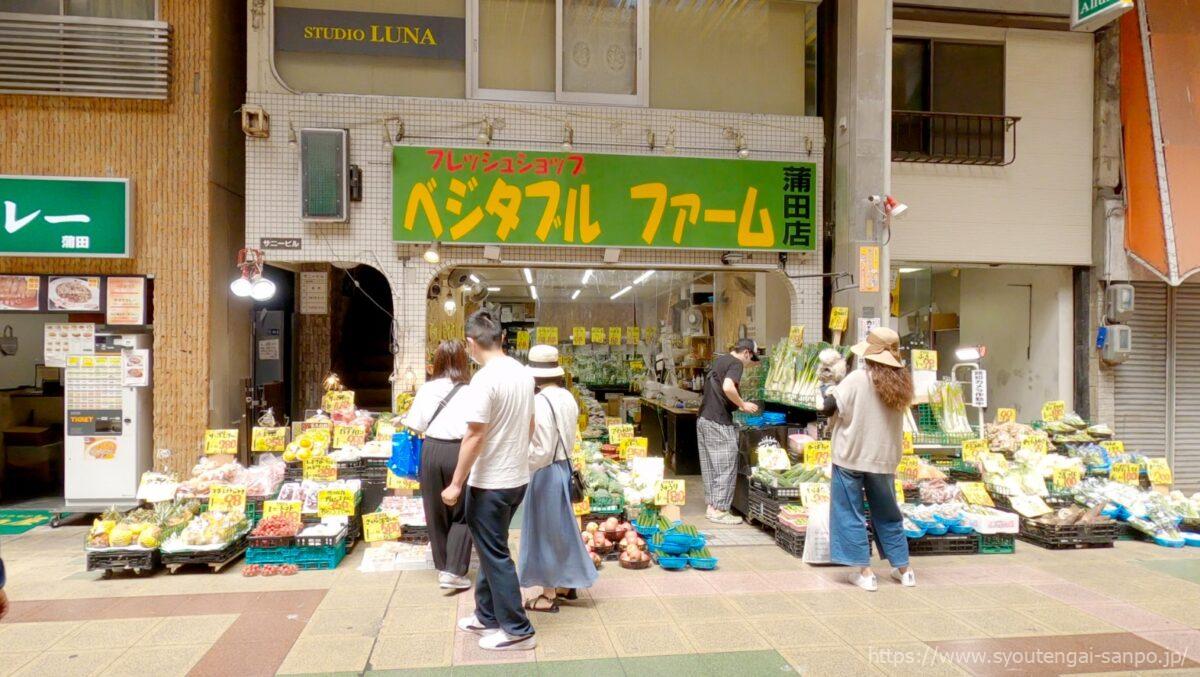 ベジタブルファーム