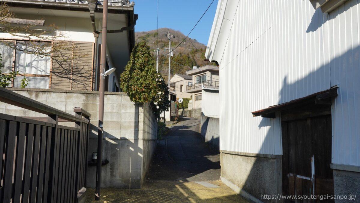 山々へ続く道