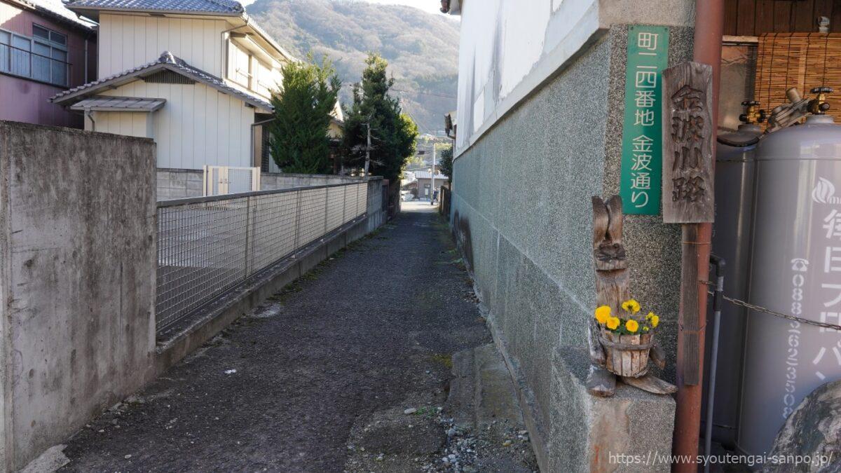 金波小地