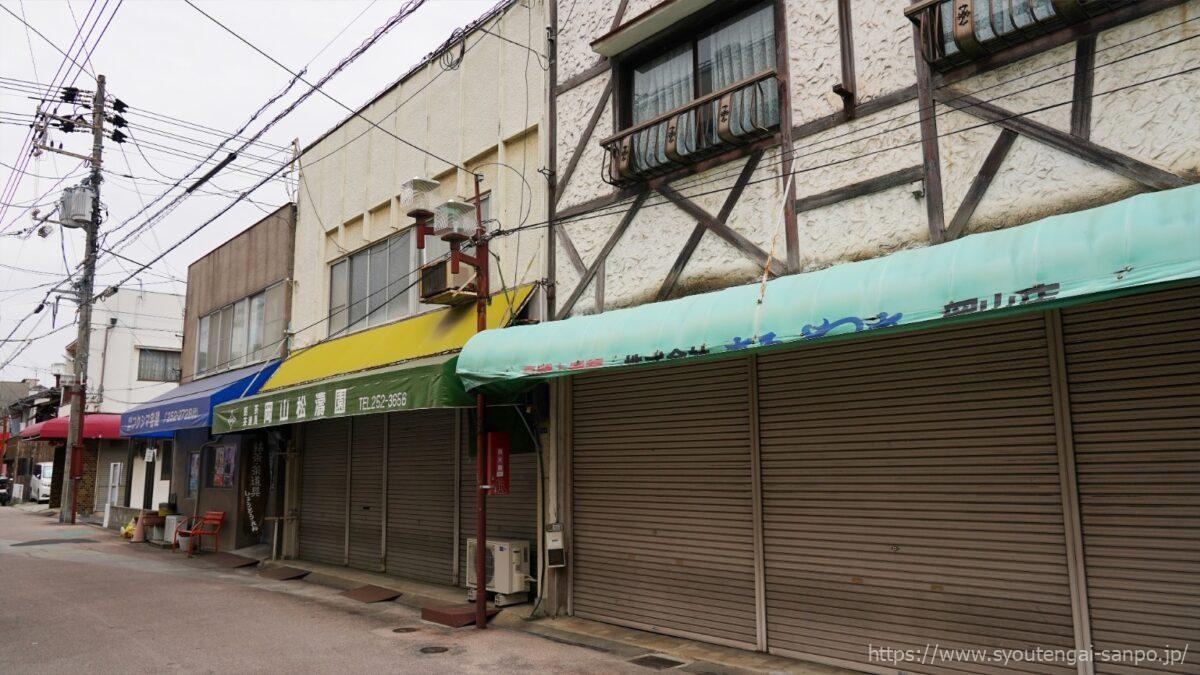 奉還町付近の商店街風景02