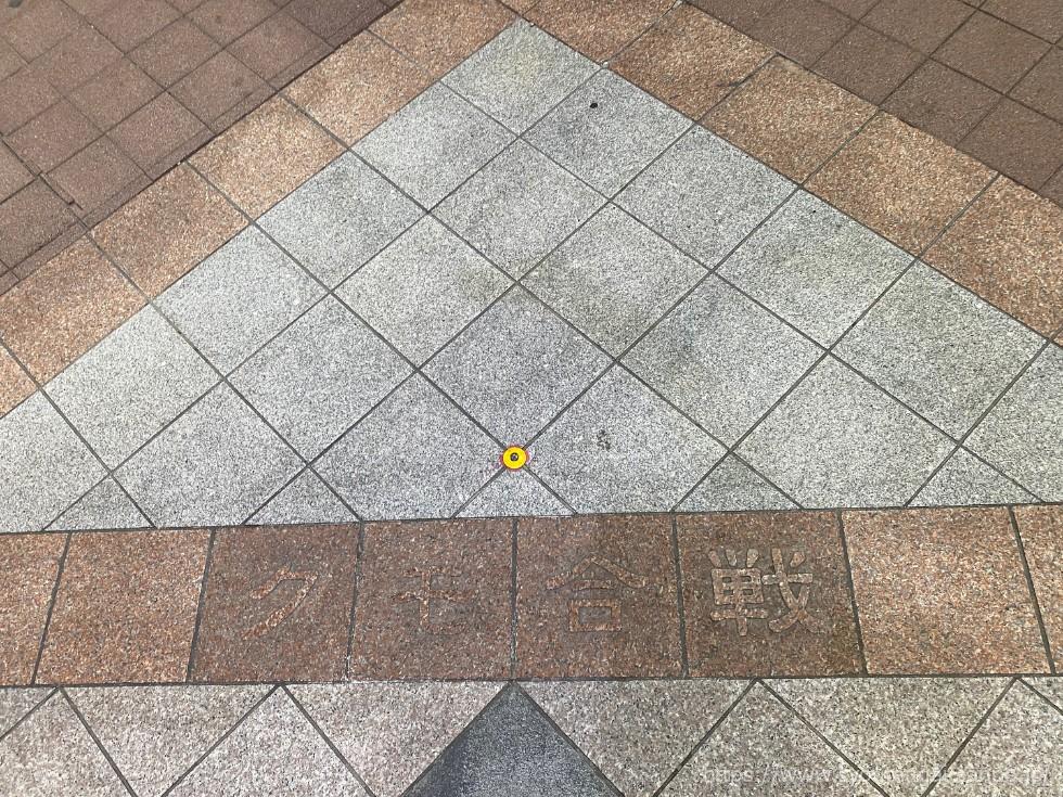 クモ合戦