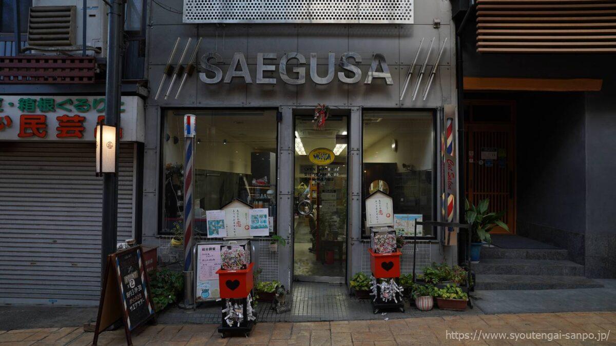 SAEGUSA